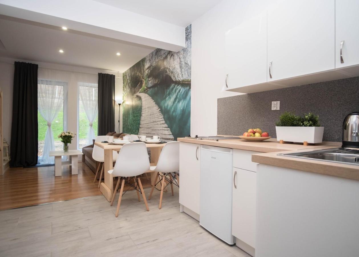 Apartamenty Goszowita Stronie Slaskie Exterior photo